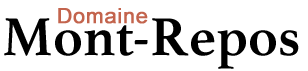 logo main